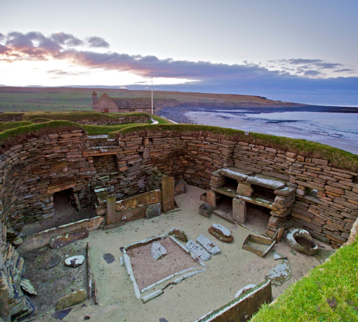 Scotland to Spitsbergen: Puffins, Sea Ice and Wildlife