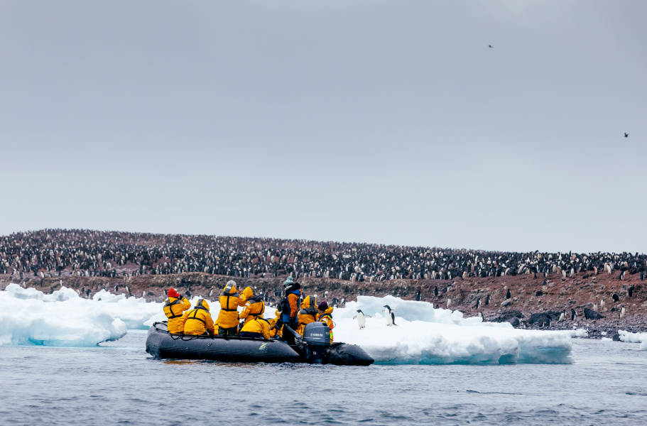 passengers on a zodiac in antarctica