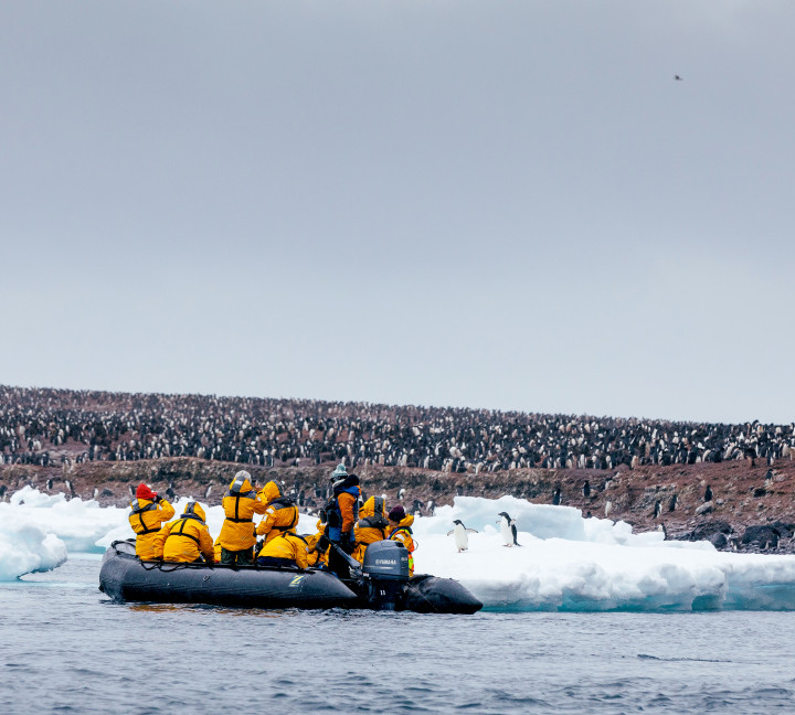 passengers on a zodiac in antarctica