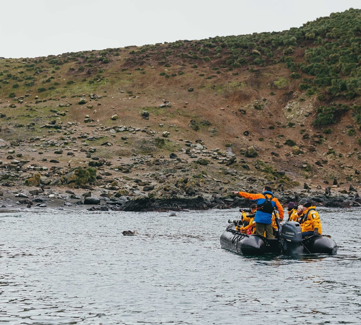 An expedition guide points out to guests some fur seals on land while Zodiac cruising.