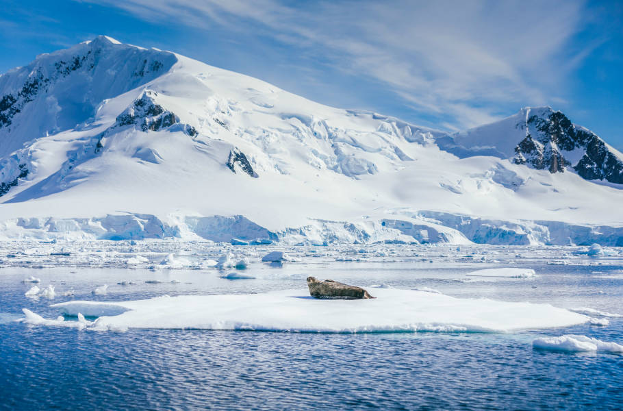 Antarctic Peninsula: A Rare Exploration of the Weddell Sea