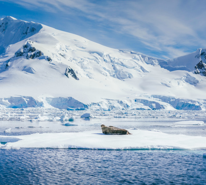 Antarctic Peninsula: A Rare Exploration of the Weddell Sea
