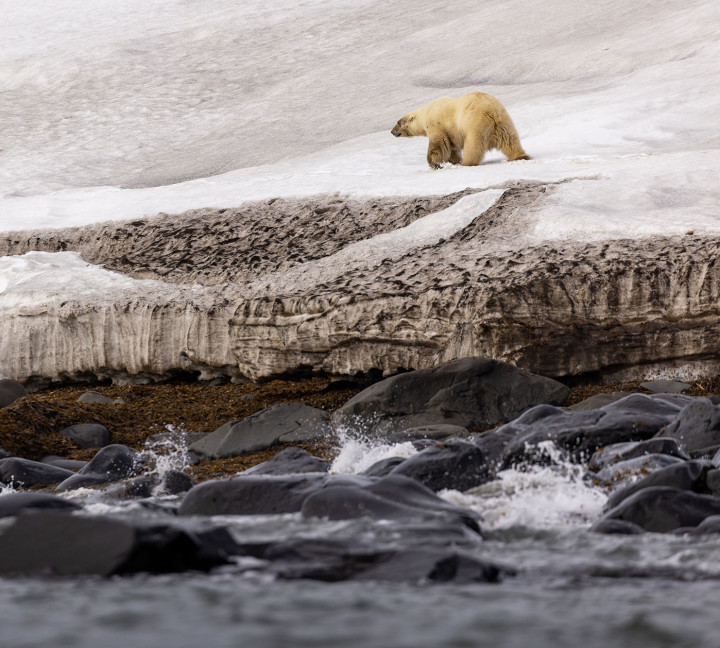 Spitsbergen Circumnavigation: A Rite of Passage