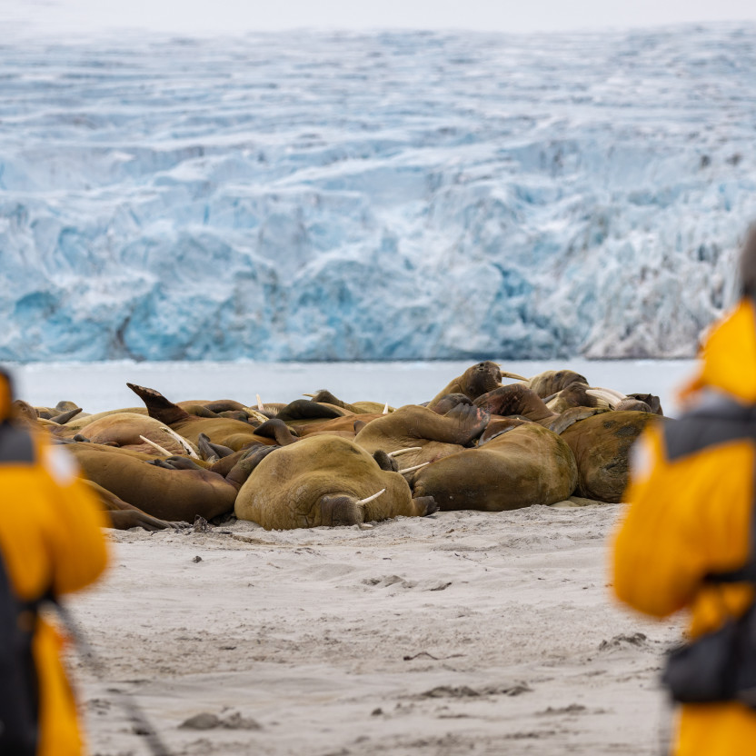 Spitsbergen Circumnavigation: A Rite of Passage