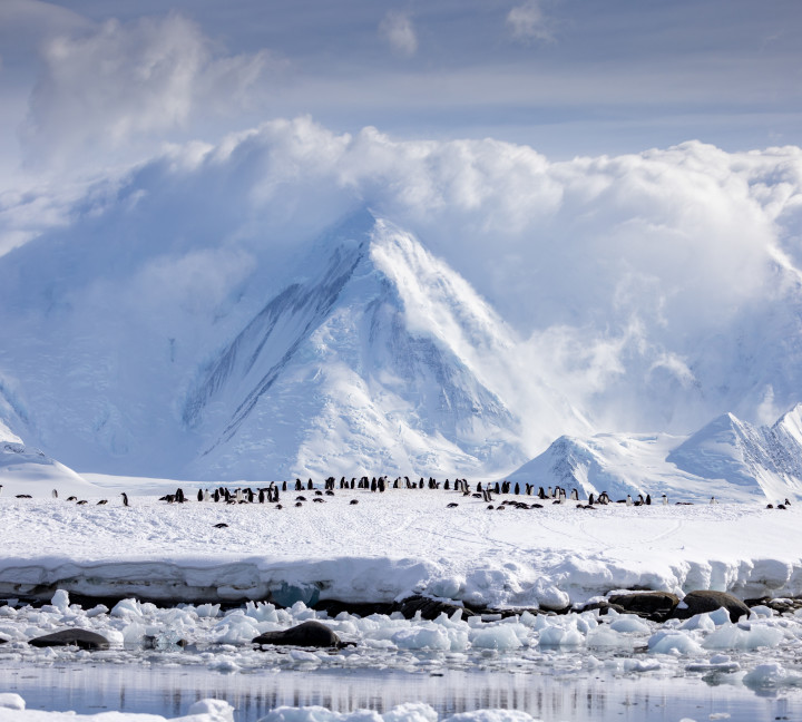 Snow Hill to the Peninsula: Shackleton’s Emperors