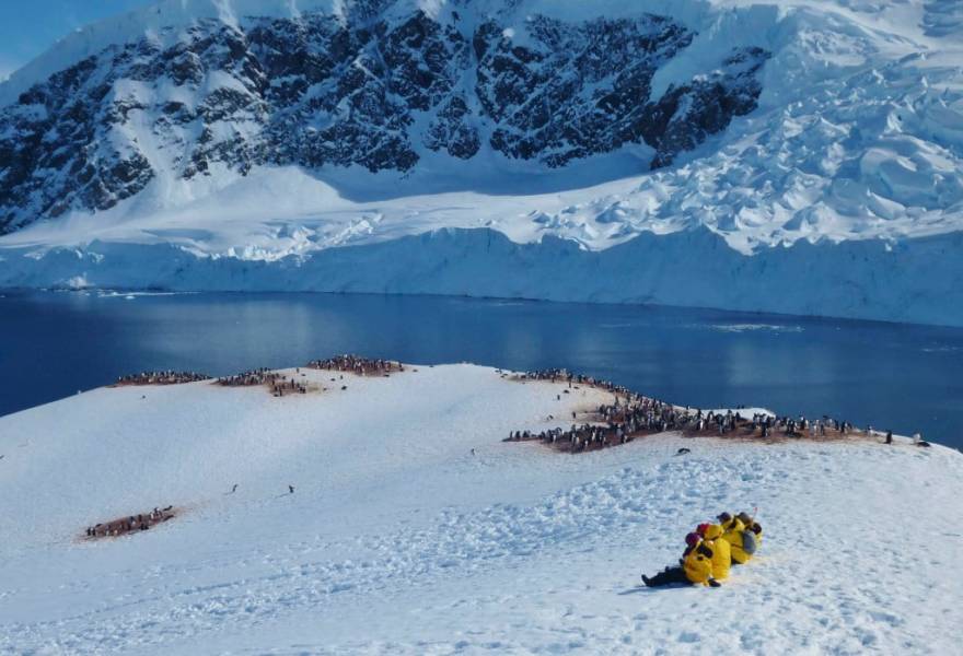Quark passengers at Neko Harbour with penguins