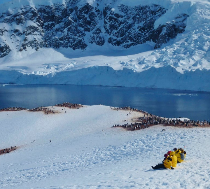 Quark passengers at Neko Harbour with penguins