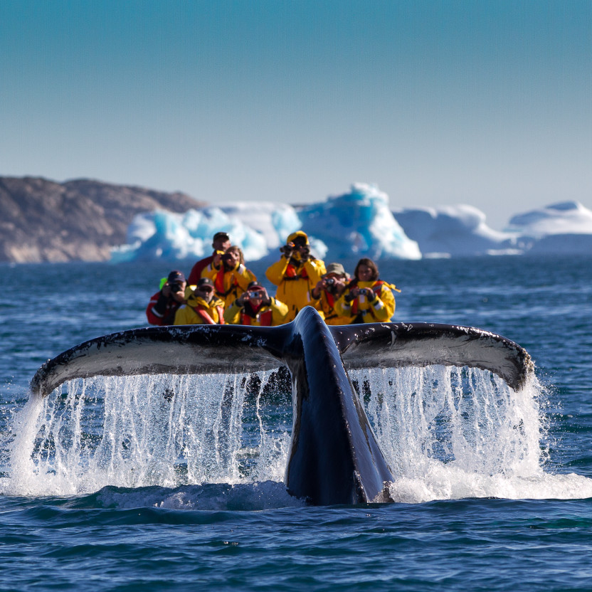 South Greenland: Alpine Exploration by Helicopter