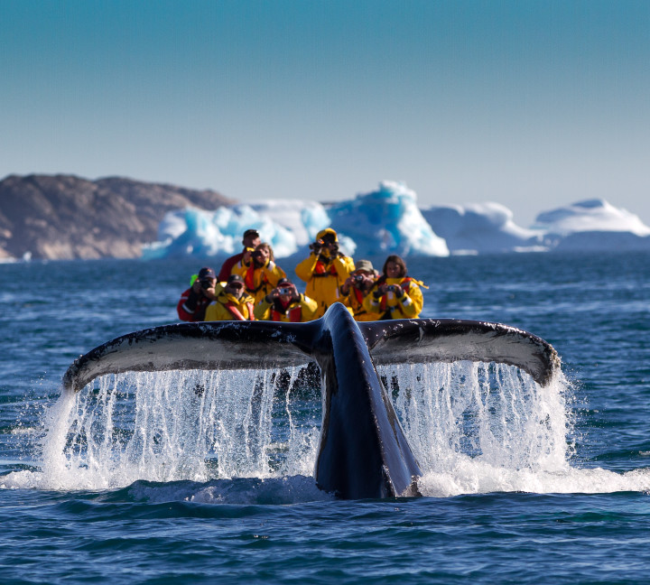 South Greenland: Alpine Exploration by Helicopter