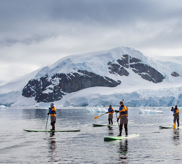 Four guests on their standup paddleboards paddle through calm waters in Antarctica.
