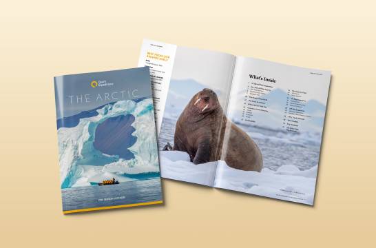 Brochures