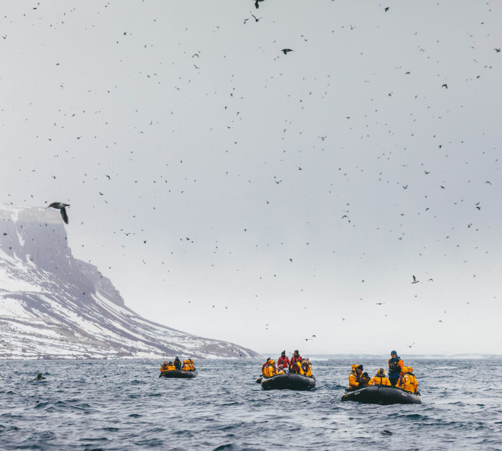 Svalbard in Spring: Sea Ice, Pristine Snow and Wildlife