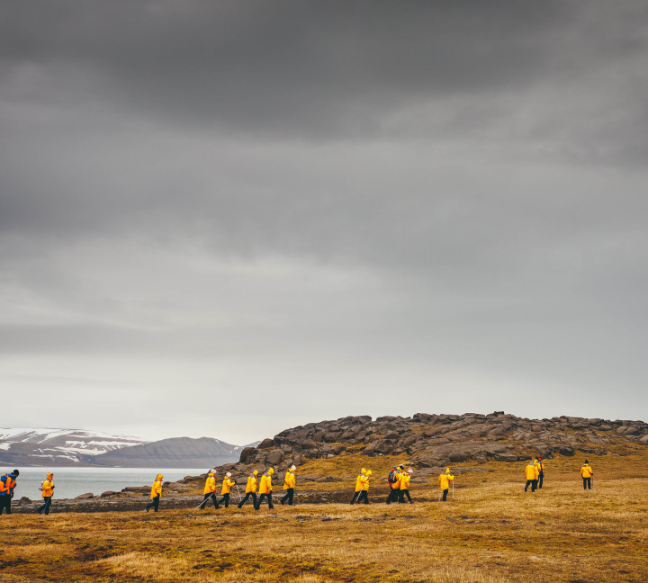 Svalbard in Summer: Tundra, Whales and Wildlife