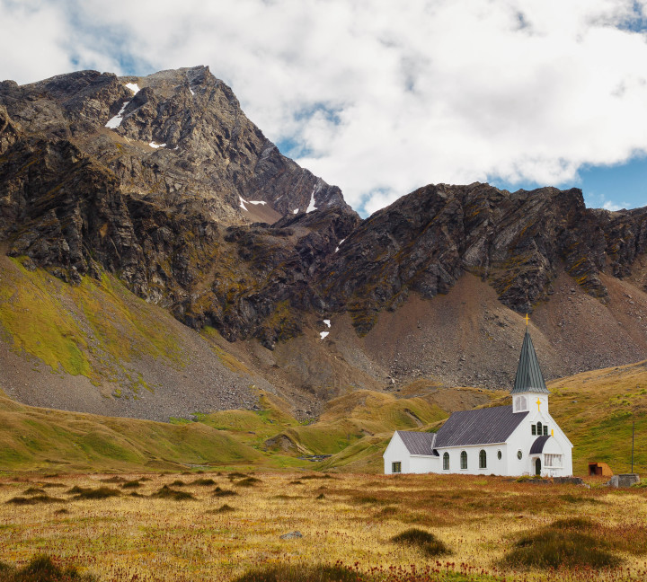 Falkland Islands and South Georgia: 20-Day Wildlife Adventure