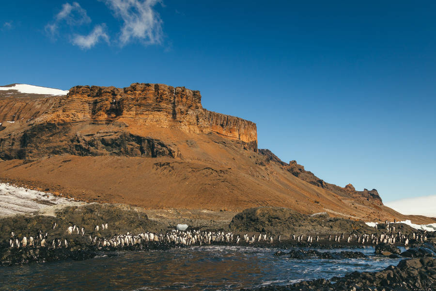 Antarctic Peninsula: A Rare Exploration of the Weddell Sea