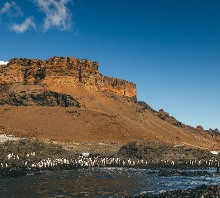 Antarctic Peninsula: A Rare Exploration of the Weddell Sea