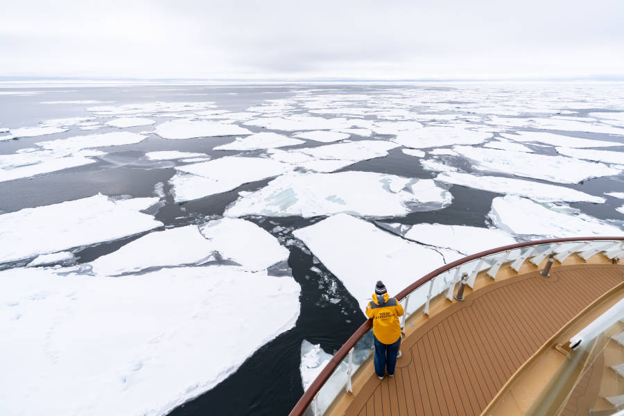 Svalbard in Spring: Sea Ice, Pristine Snow and Wildlife