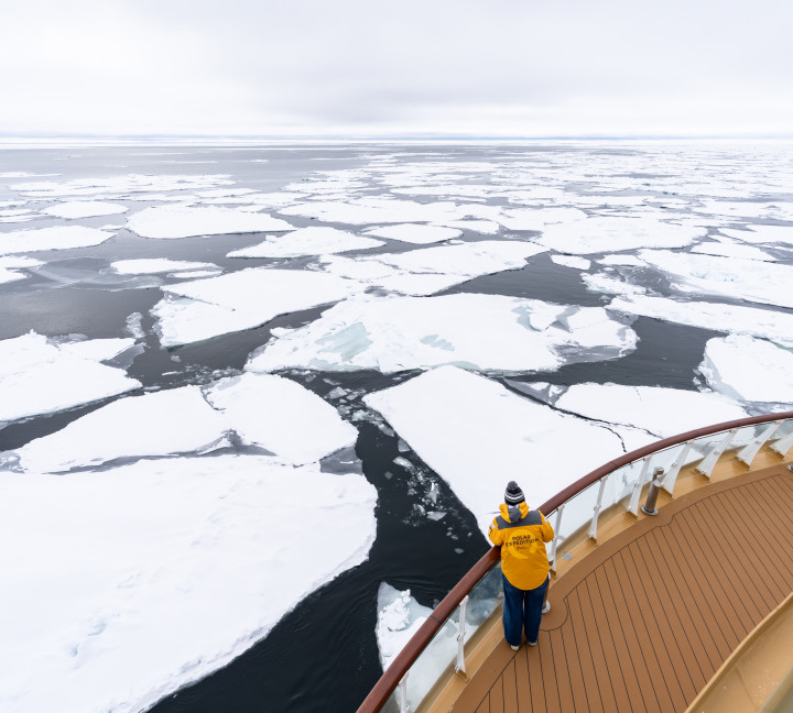 Svalbard in Spring: Sea Ice, Pristine Snow and Wildlife