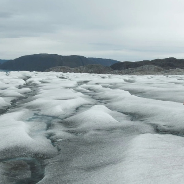 Ice Sheet Experience