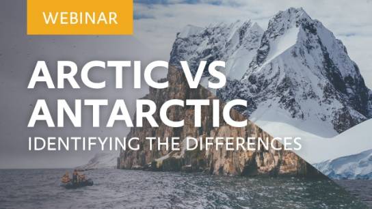 Arctic vs. Antarctic: Identifying the Differences