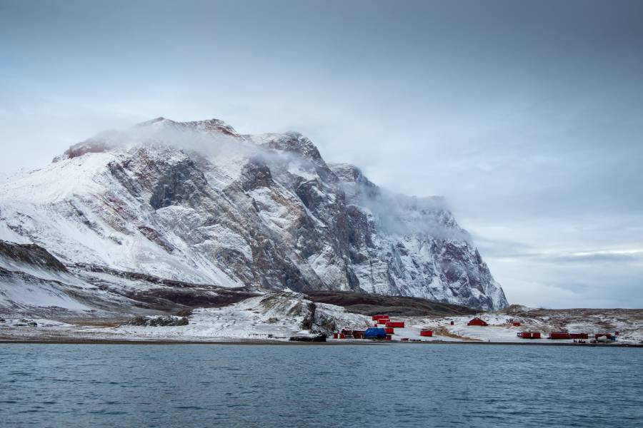 Arctic