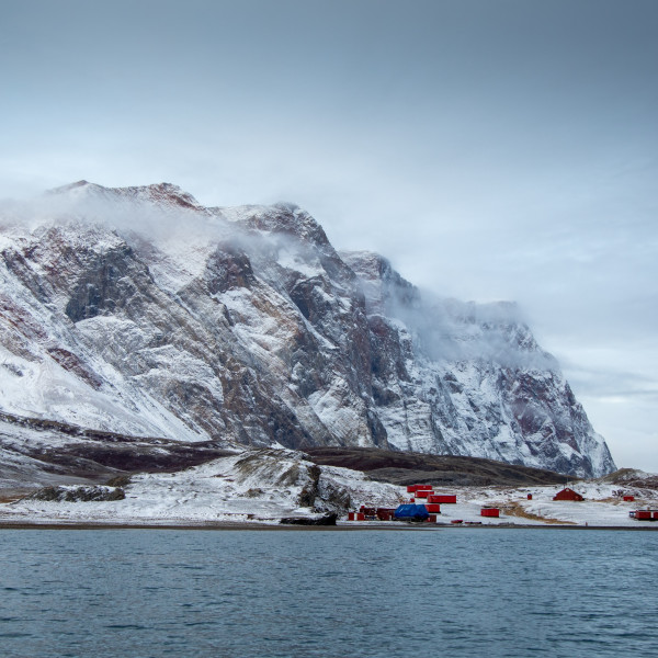 Arctic