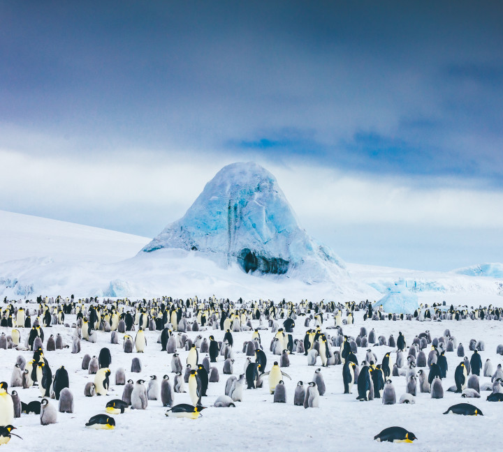 Snow Hill to the Peninsula: Shackleton’s Emperors
