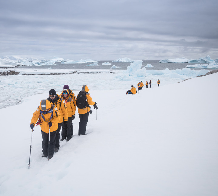 Passengers hiking through Antarctica