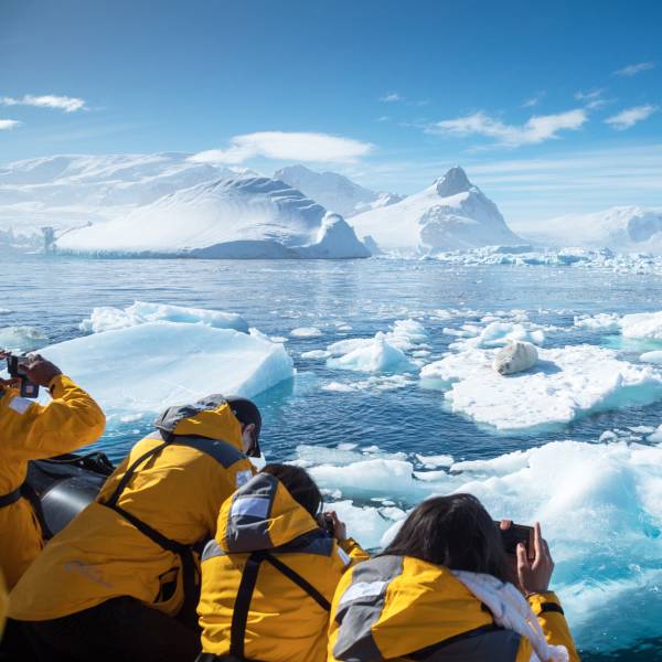 The Antarctic Peninsula