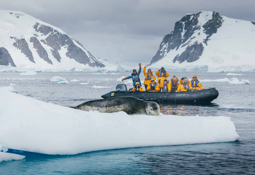 The Antarctic Peninsula