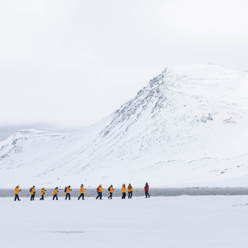 Scotland to Spitsbergen: Puffins, Sea Ice and Wildlife