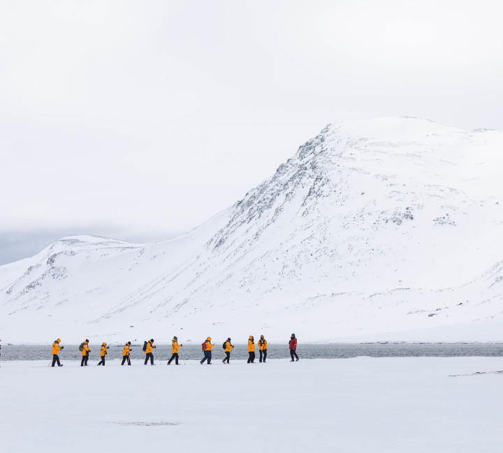 Scotland to Spitsbergen: Puffins, Sea Ice and Wildlife