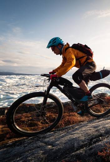 Arctic vs. Antarctic: Identifying the Differences