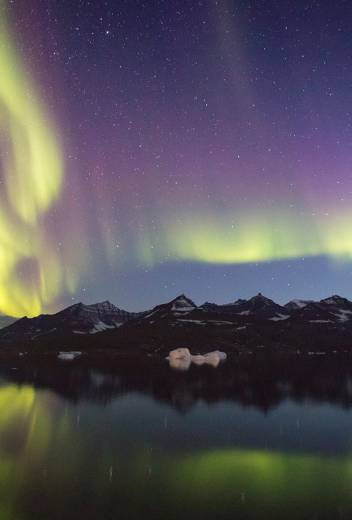 Arctic