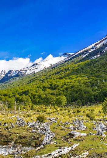 Raise a Glass and Stay Connected: Free Wi-Fi and Alcohol on Our Expedition Cruise Ships