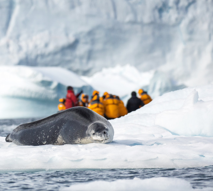 Snow Hill to the Peninsula: Shackleton’s Emperors