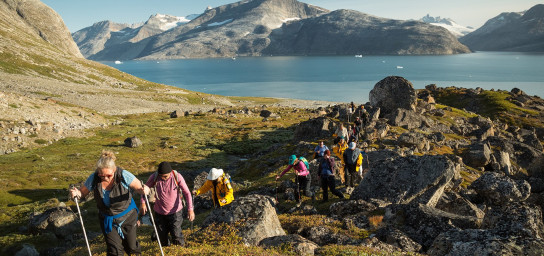 Fjord in Greenland