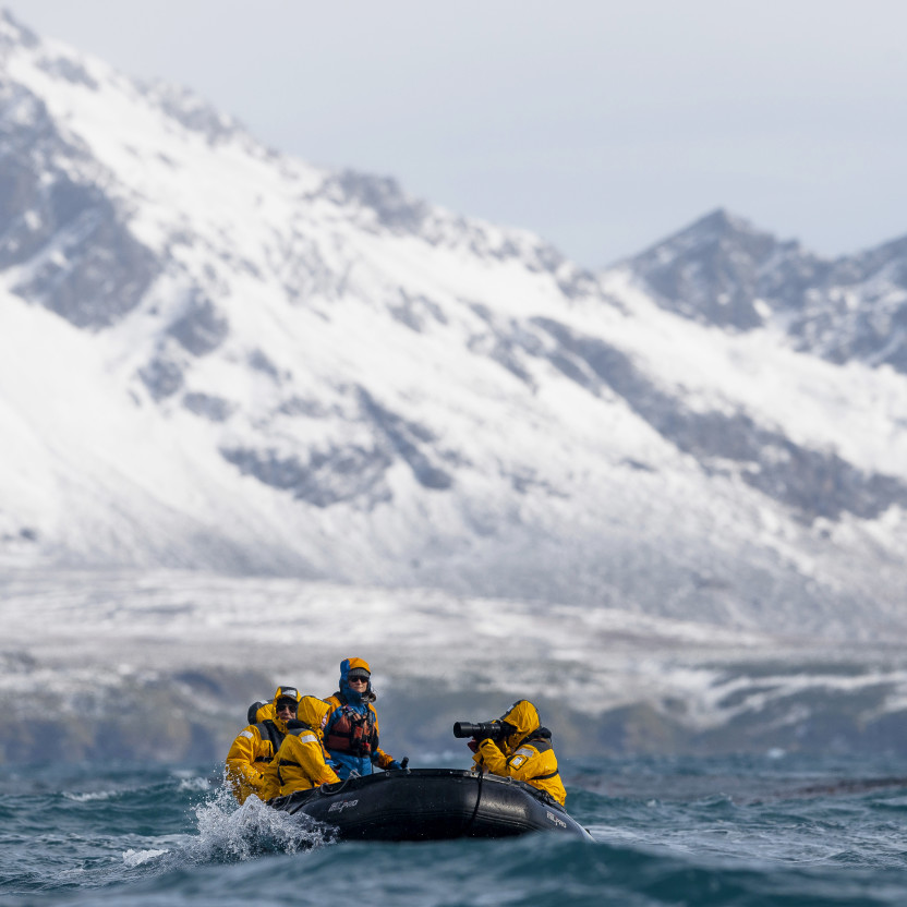 Falkland Islands and South Georgia: 20-Day Wildlife Adventure