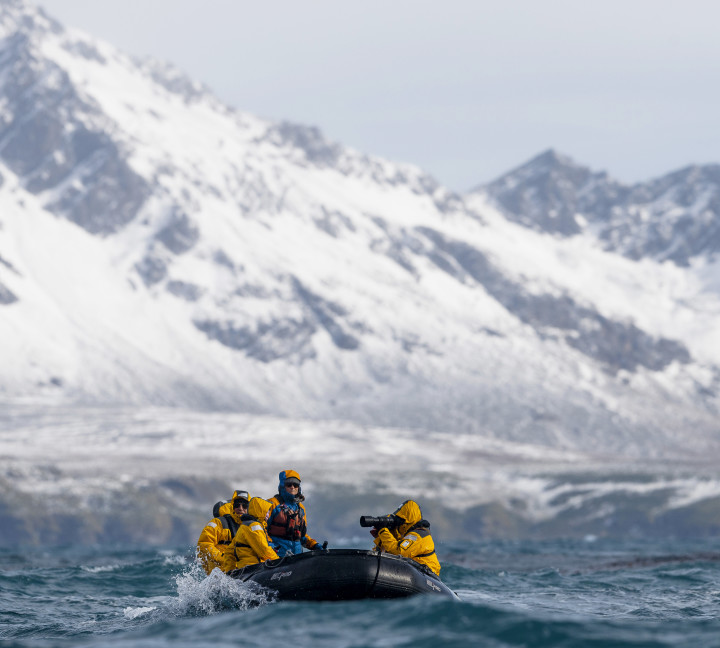 Falkland Islands and South Georgia: 20-Day Wildlife Adventure