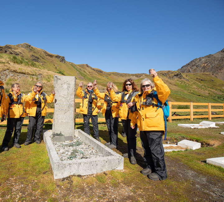Penguins of the Far South: Falklands, South Georgia and Antarctica