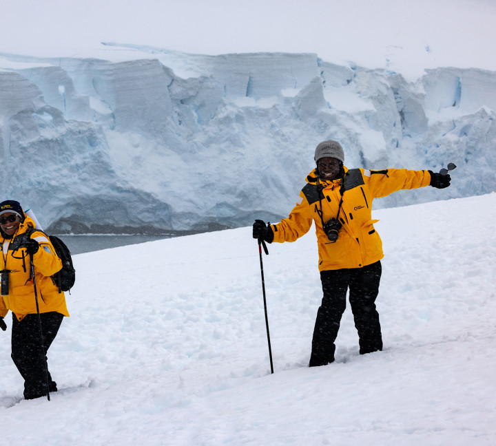 Antarctic Marine Mammals: The World of Whales and Seals