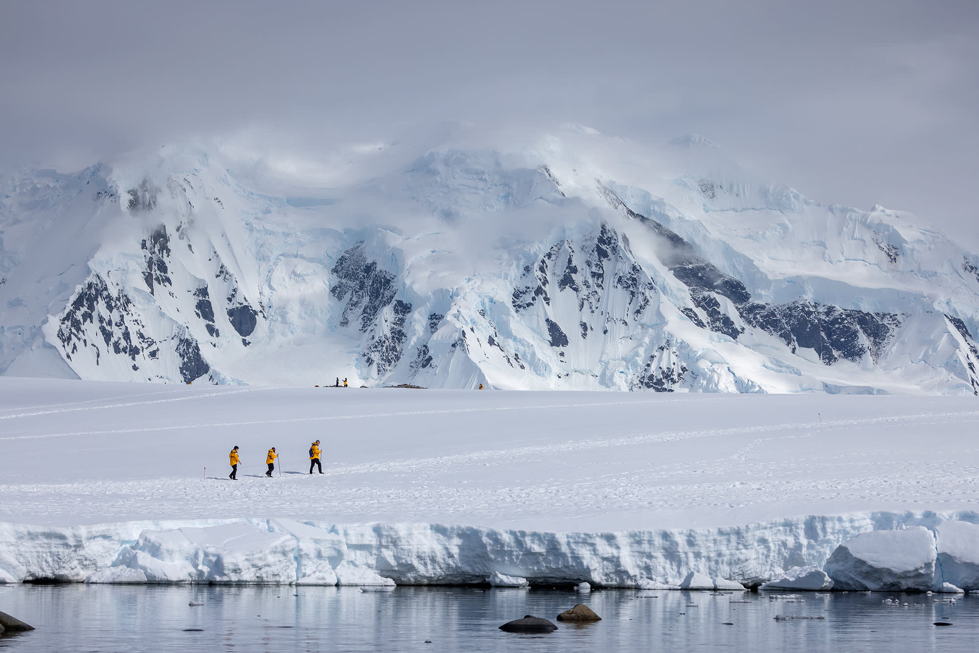 Penguins of the Far South: Falklands, South Georgia and Antarctica