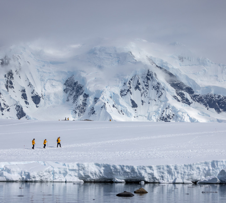 Penguins of the Far South: Falklands, South Georgia and Antarctica