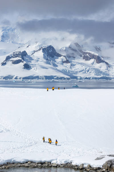 Antarctic Marine Mammals: The World of Whales and Seals