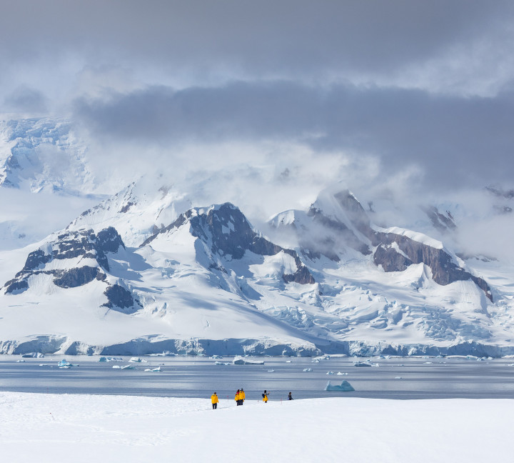 Antarctic Marine Mammals: The World of Whales and Seals
