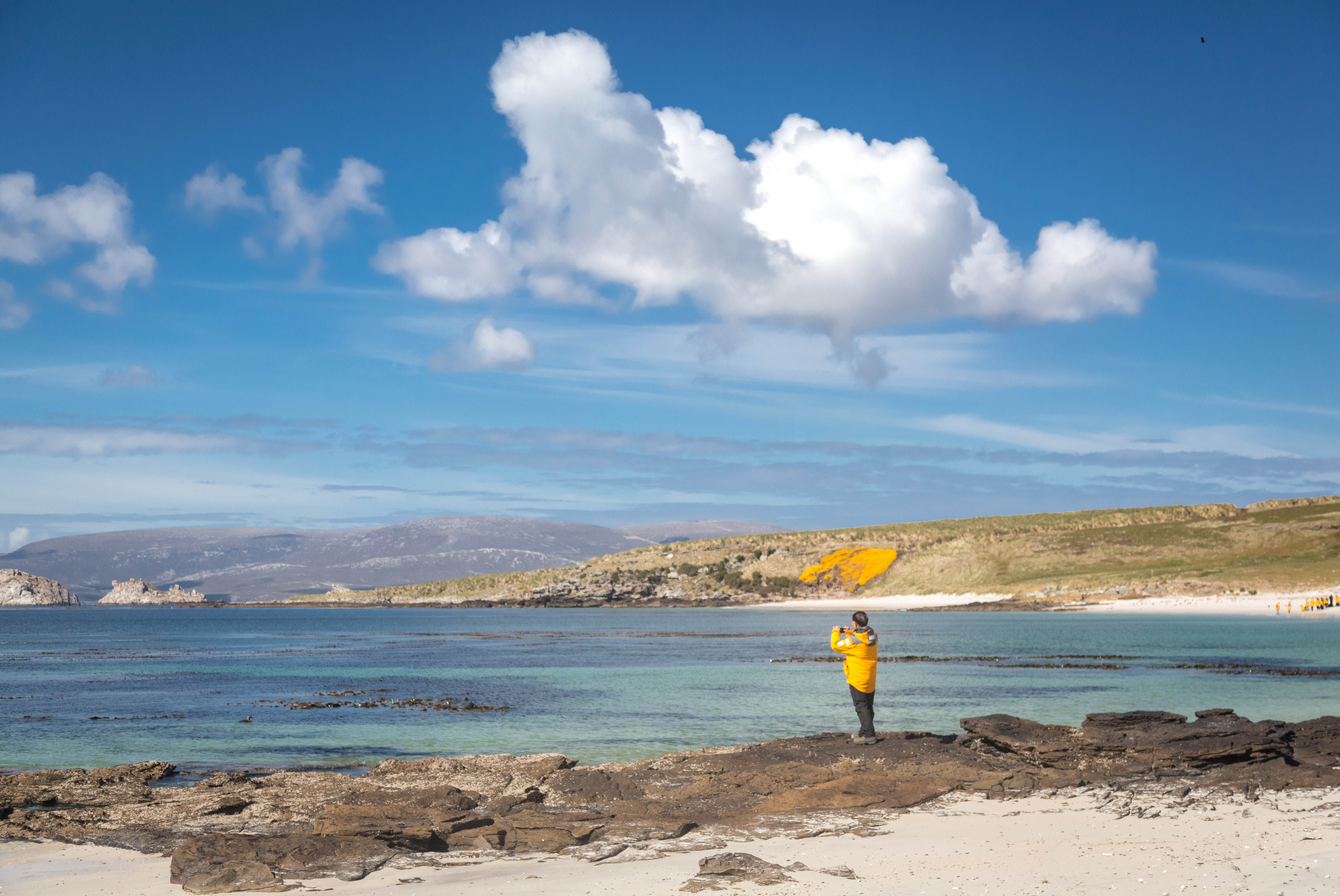 Falkland Islands and South Georgia: 20-Day Wildlife Adventure