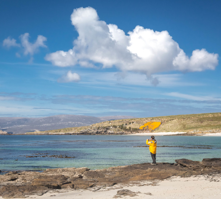 Falkland Islands and South Georgia: 20-Day Wildlife Adventure