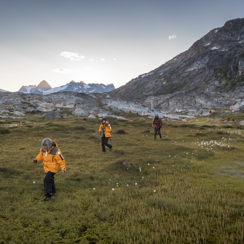 Southeast to West Greenland: Glaciers, Fjords and Viking History