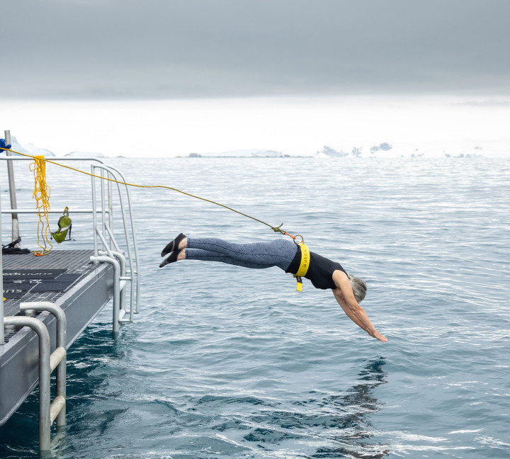 Polar_Plunge
