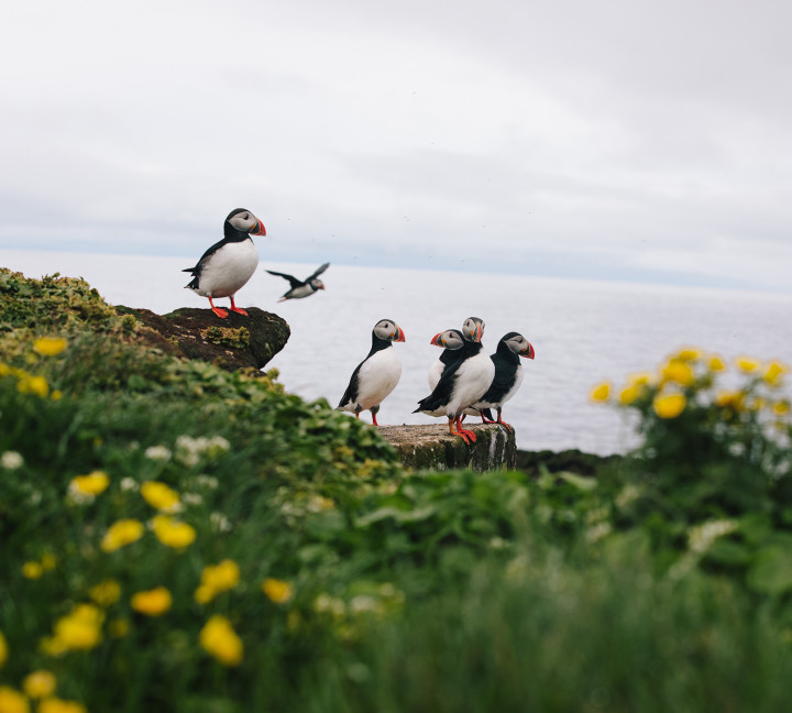 Iceland Circumnavigation: Helicopters, Glaciers and Volcanoes